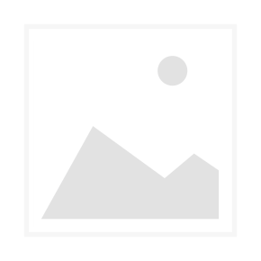 Schotec Hausschornstein HS 26/26 Einzelelement (1 Stein )